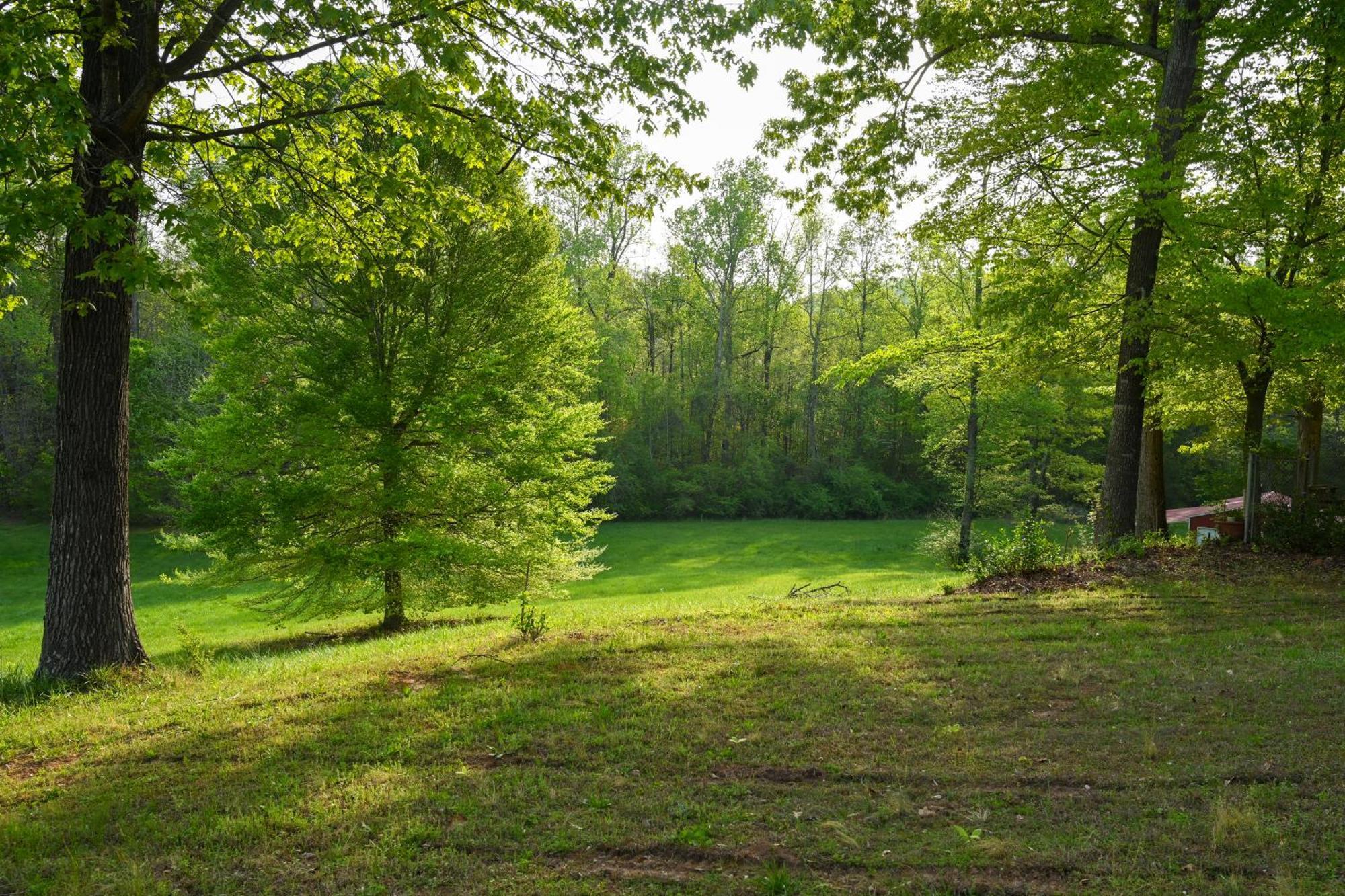 Southern Home And Fishing Lake. Gainesville Bagian luar foto